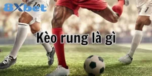 Kèo rung là gì? Hướng dẫn về cách bắt kèo và thắng lớn 7 tìm hiểu về kèo rung