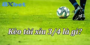 Tài xỉu 3/4 - Hướng dẫn cho người đam mê cá cược bóng đá 2 Tài xỉu 3/4