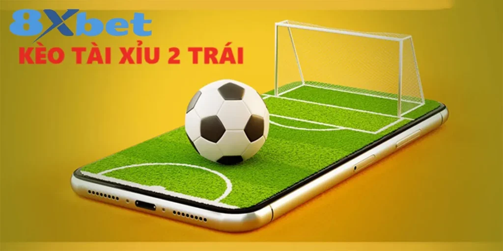 Tài xỉu 2 trái: Cách thức hoạt động trận đấu thực tế 1 Tùy chọn cược tài xỉu 2 trái